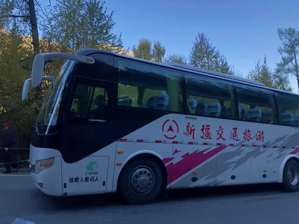 喀纳斯