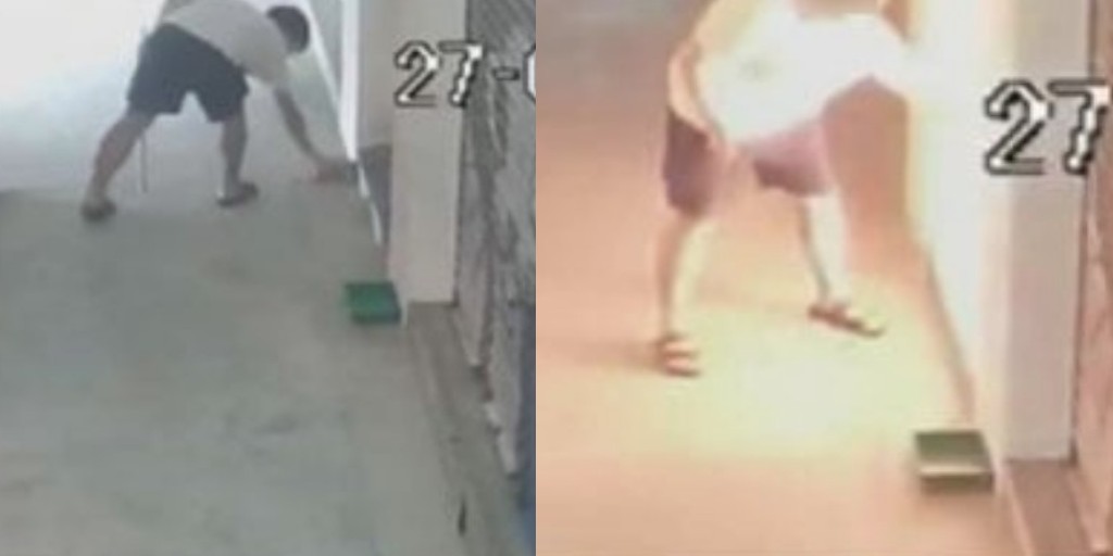 虐狗