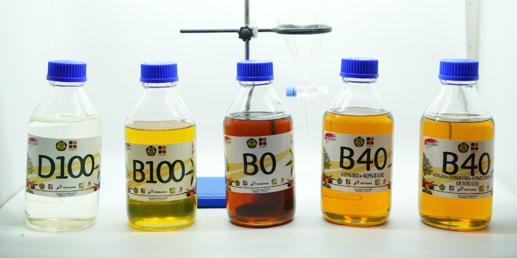 棕油 生物燃料