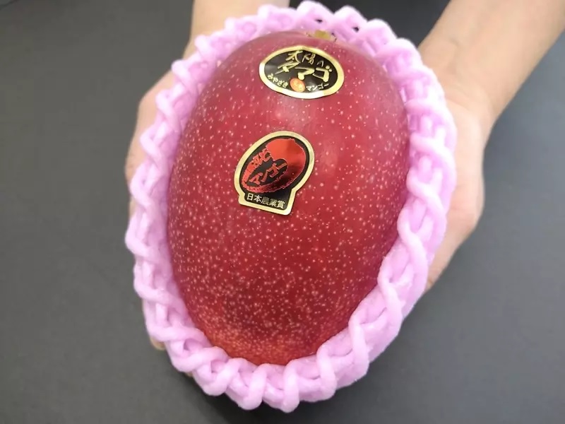 史上最贵芒果! 拍出2万元天价