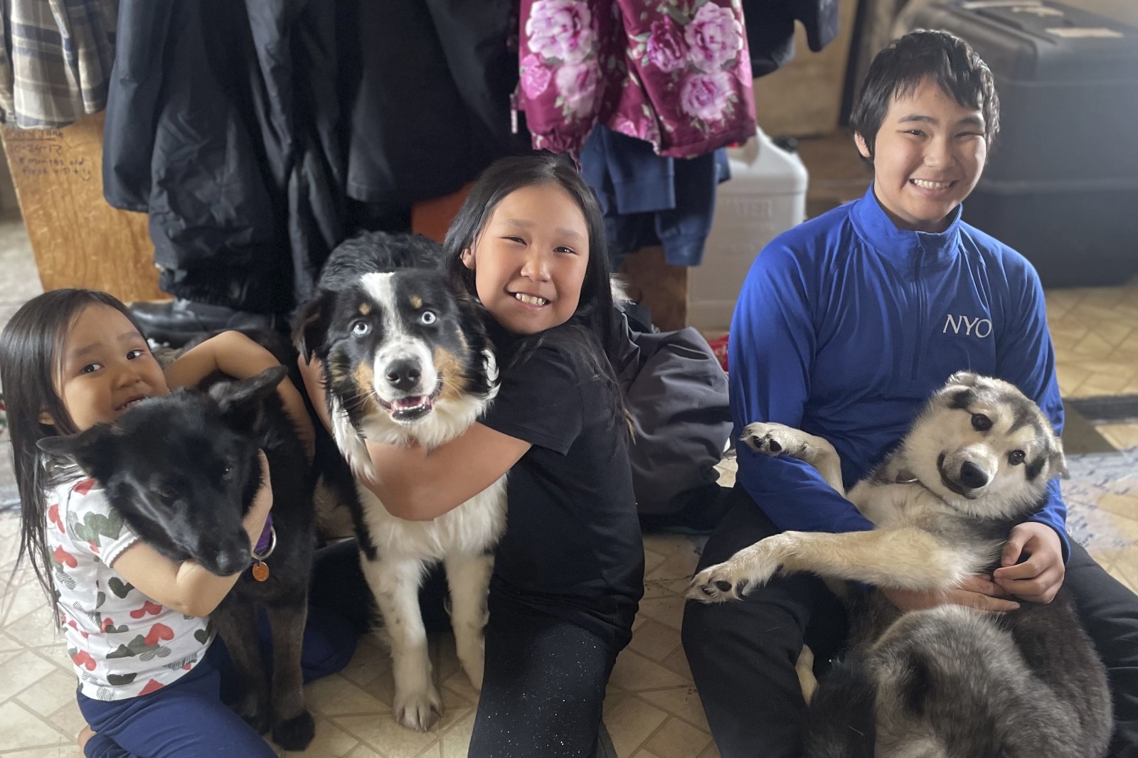 走失牧羊犬 横越冰洋240公里回家