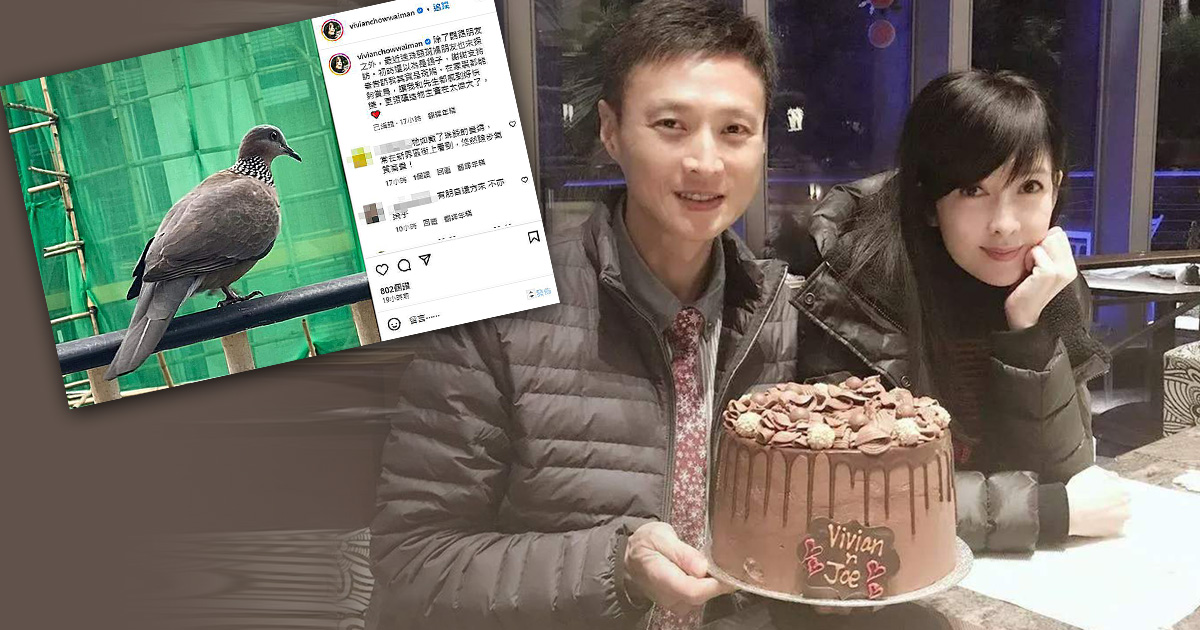 疯传与倪震净身出户离婚 周慧敏晒鸟图揭婚姻现况