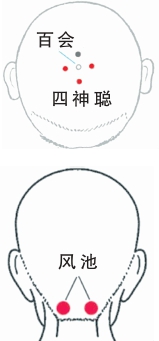 穴位