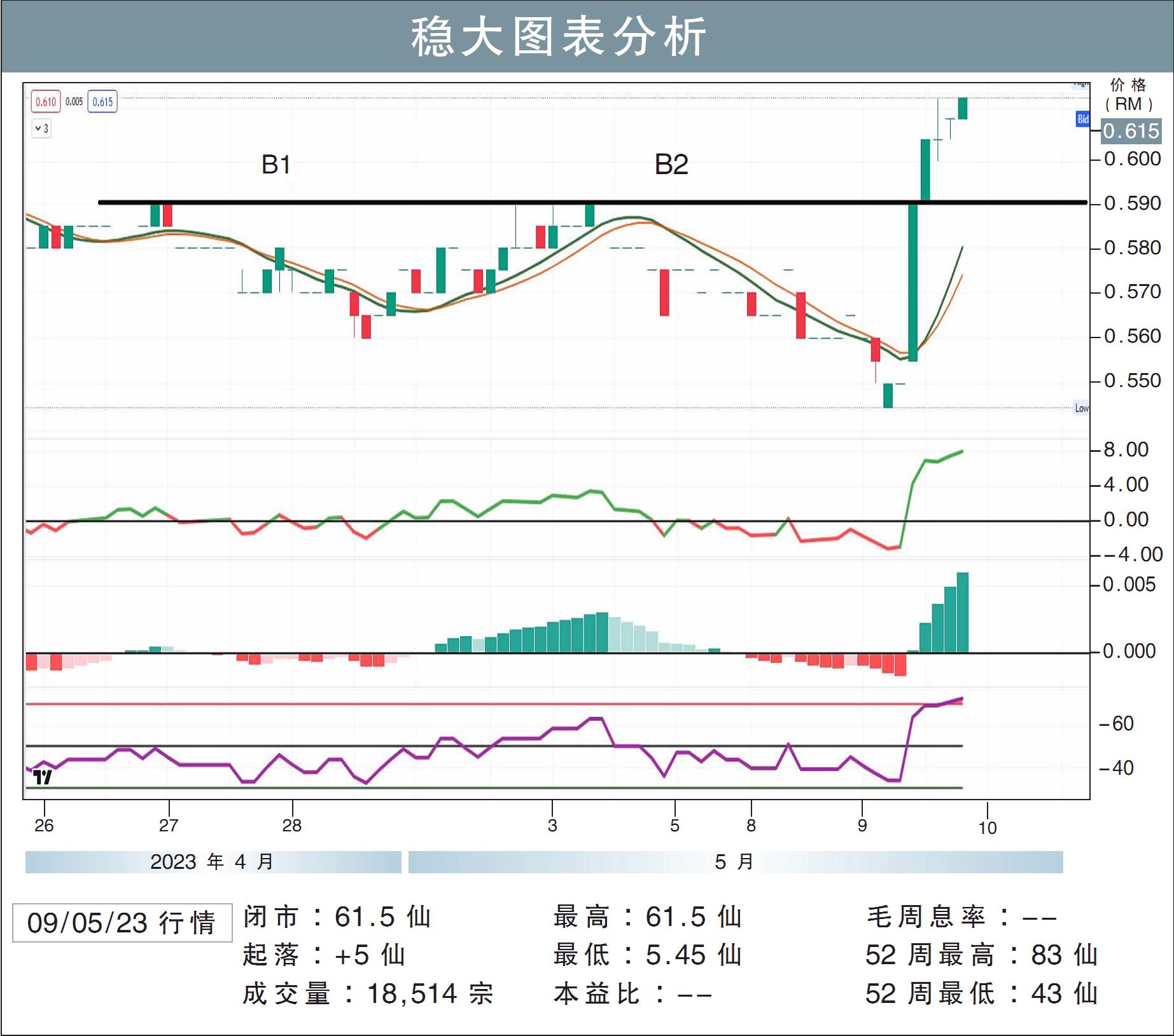 稳大图表分析