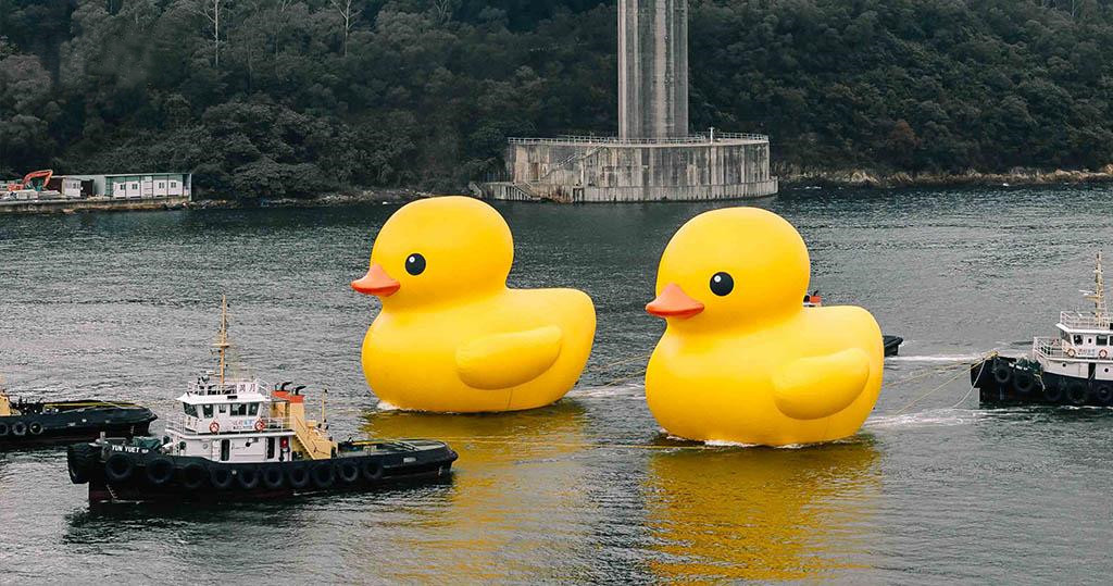 黄色巨鸭 黄鸭 Rubber Duck