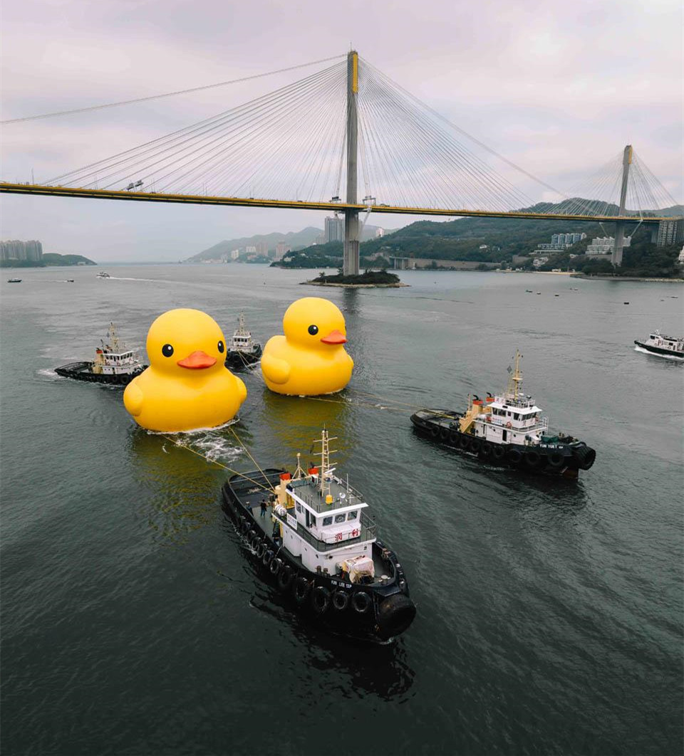 黄色巨鸭 黄鸭 Rubber Duck