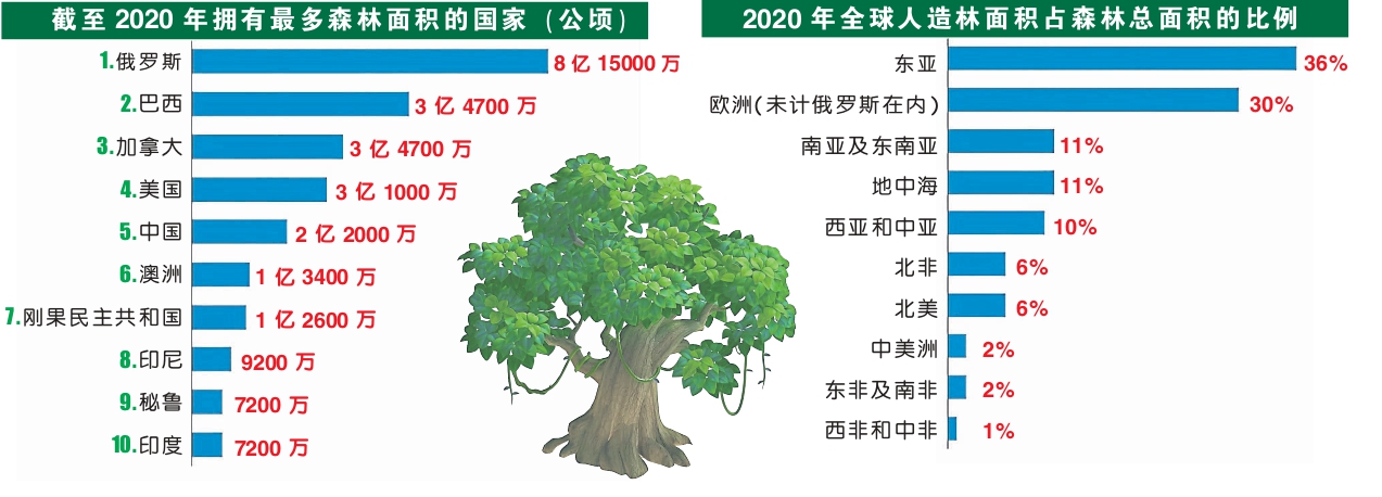 树 图表