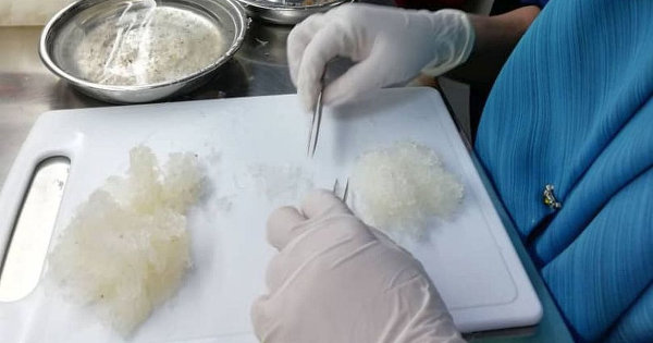 取缔非法业者·不管有无持牌 砂拉越燕窝业全面喊停