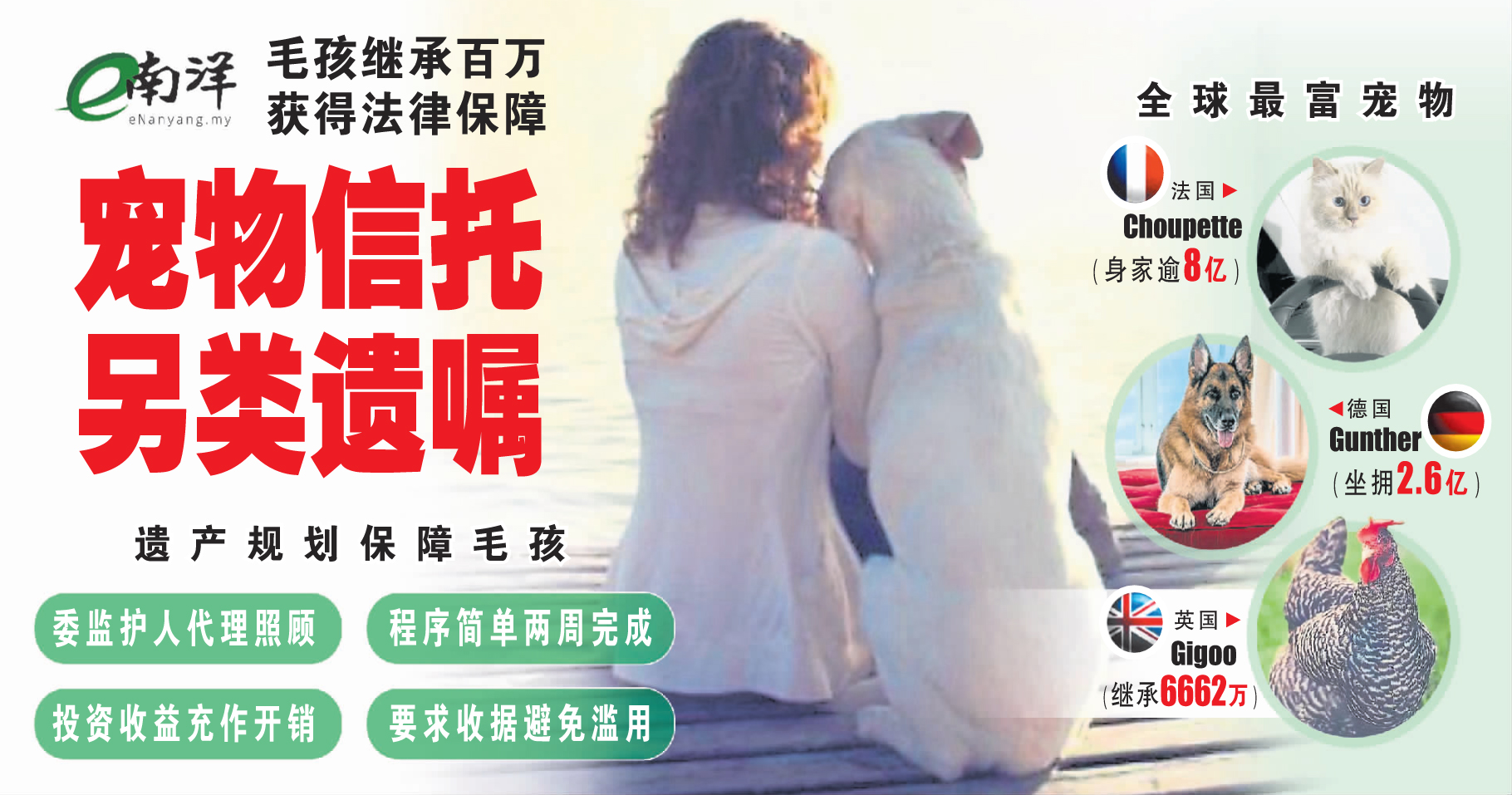 【獨家】毛孩繼承百萬獲法律保障 寵物信托另類遺囑