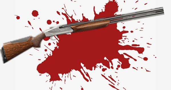 意外射死护林员 政府等4造须赔28万