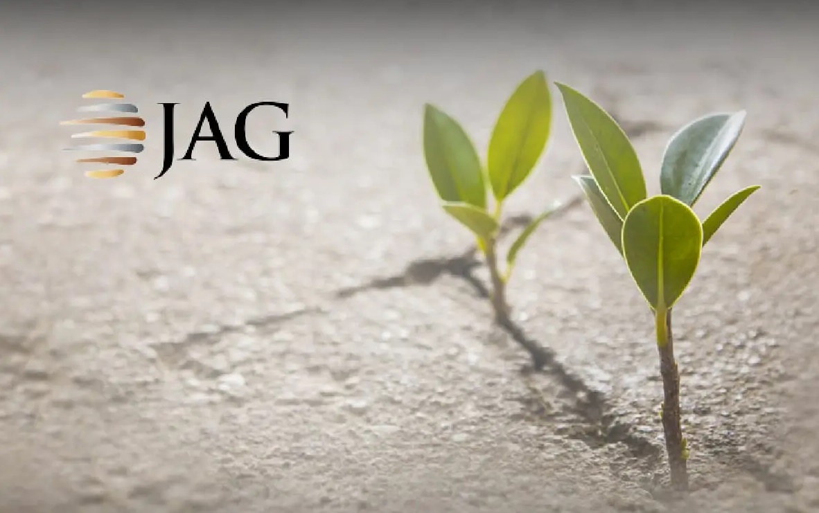 JAG公司 5送1红股加5送3凭单