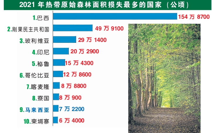 树 图表