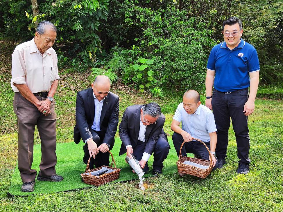 植存环保葬