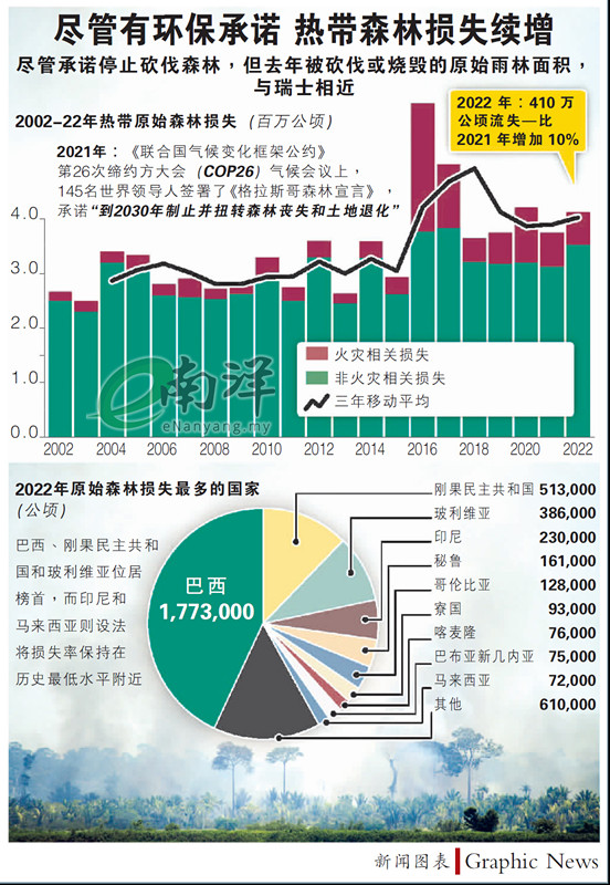 尽管有环保承诺 热带森林损失续增