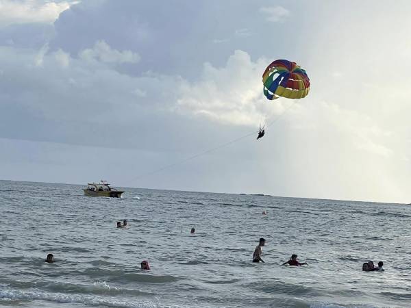 海上游泳 男子遭海豚撞断肋骨