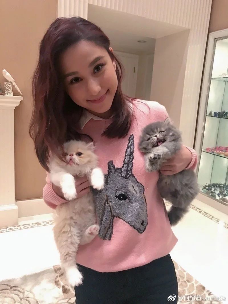 何超蓮