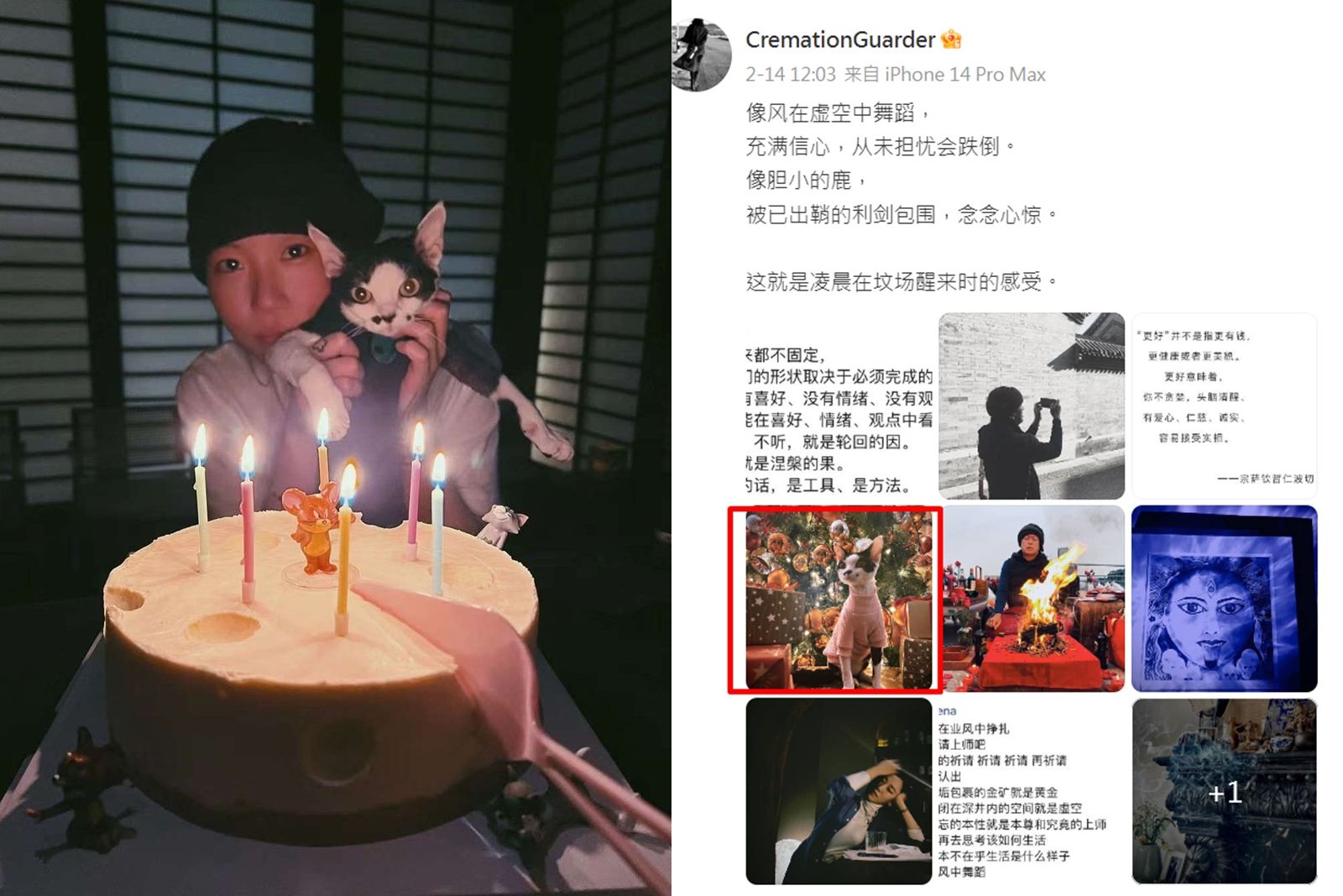 窦靖童