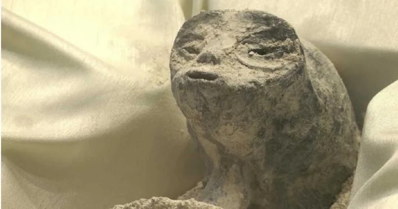 外星人遗骸