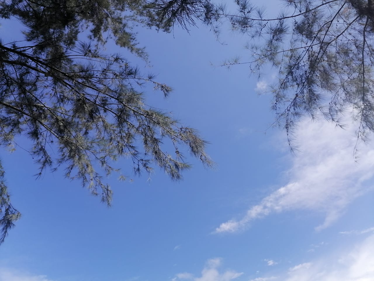 数息止散念/明吉法师