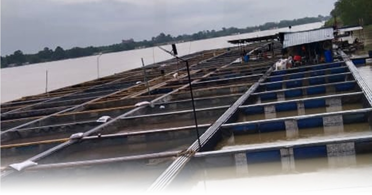 霹河14家养鱼场获临时地契 养殖商投资更有保障