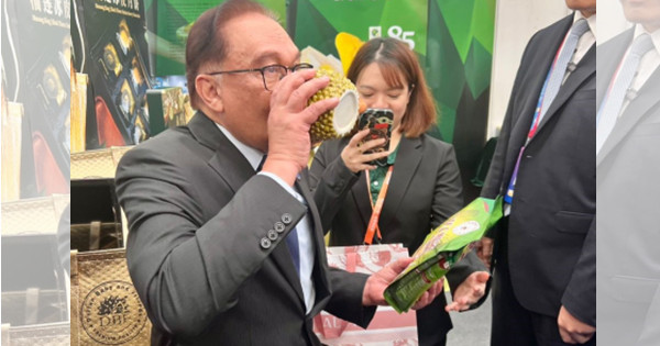 推广国货最强代言人! 安华喝猫山王咖啡提神