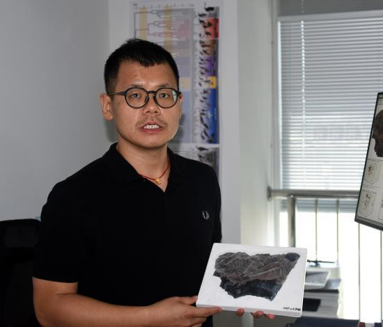 中国科学院古脊椎动物与古人类研究所王敏