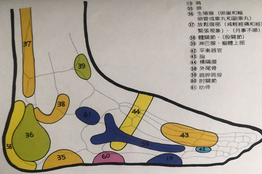 足部反射按摩  当下缓解疼痛