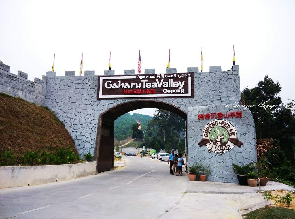 南視界,務邊沉香山茶園,沉香木,香脂,沉香,