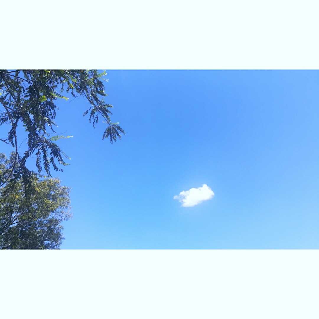 修习药师法的信念/颜爱心