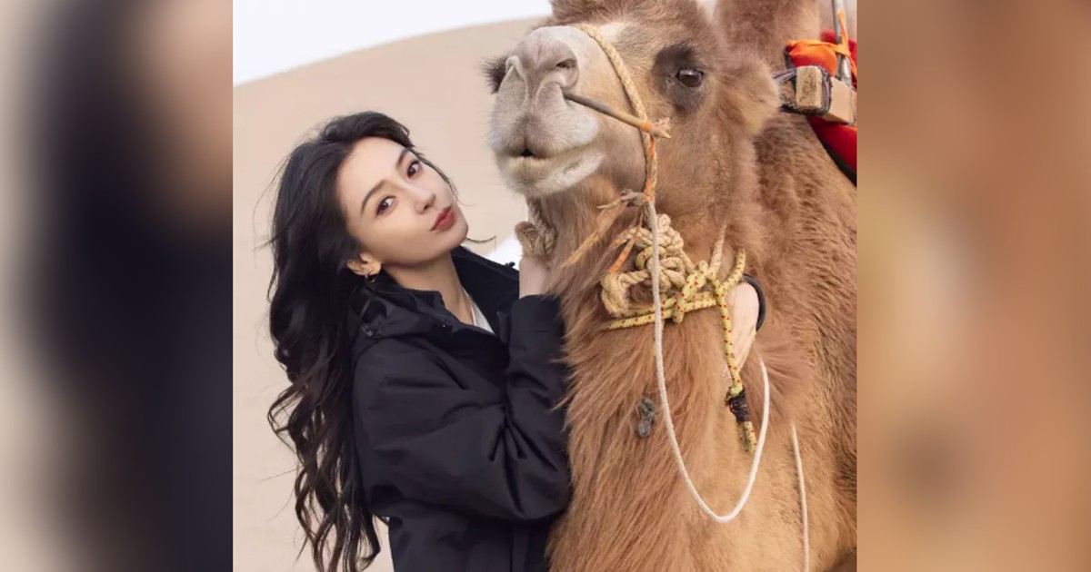 杨颖 Angelababy