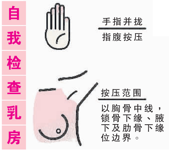 自我检查乳房