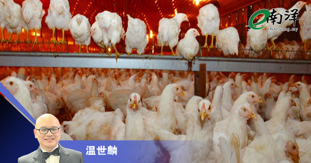 取消肉鸡与蛋顶价 CAB机构母子齐走高/温世麟