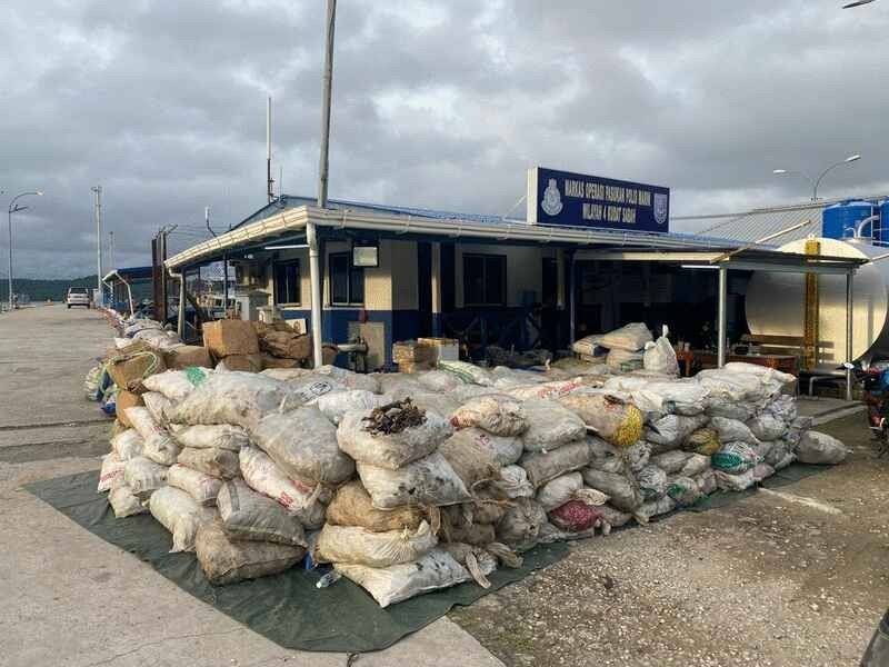 截查可疑鱼笼船 水警破值500万海龟残骸