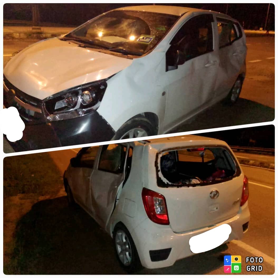 闯大道遭误撞  象群发狂踩车