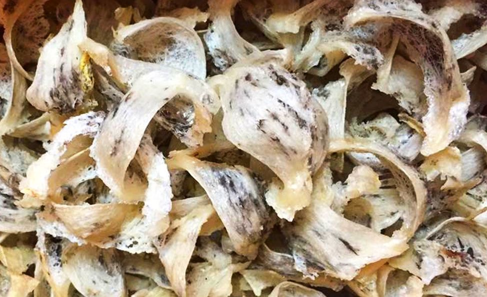 中国允越南毛燕食用燕窝进口