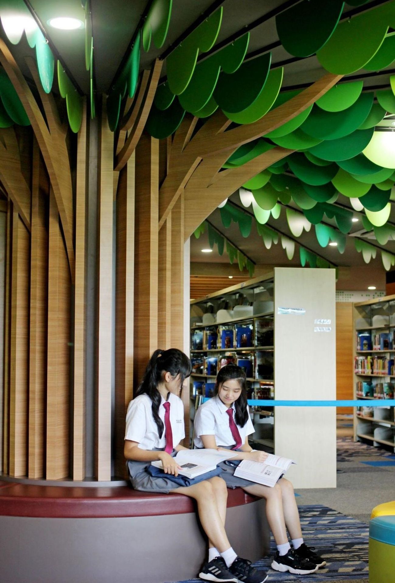 Paragon Education 7