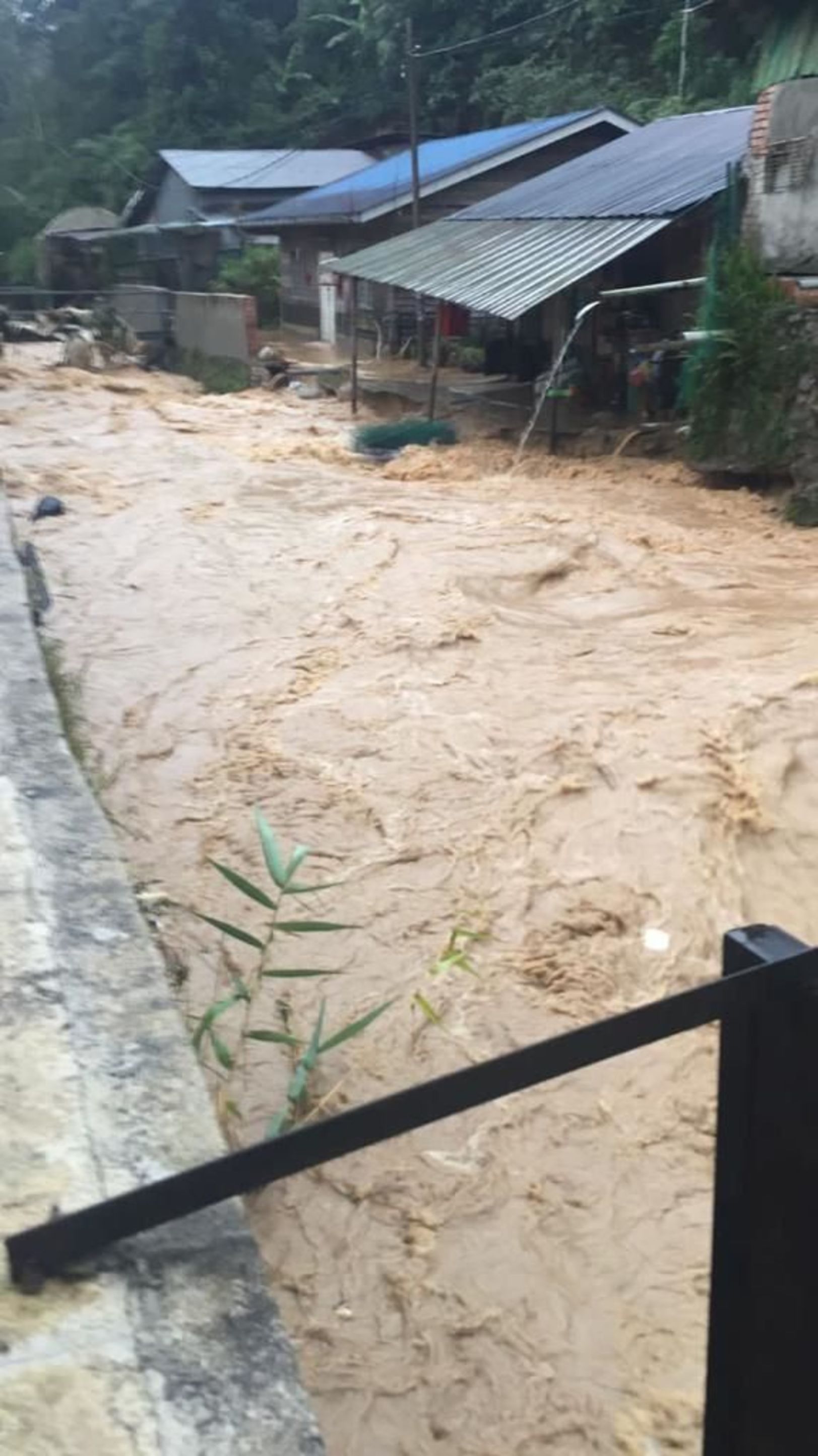 金马仑水灾