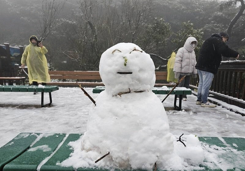 寒流袭台 台北阳明山时隔3年再降雪