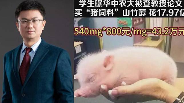 中国教授被爆天价养猪 80头猪喂52日耗资12亿