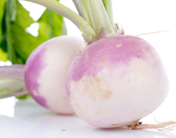 菜头