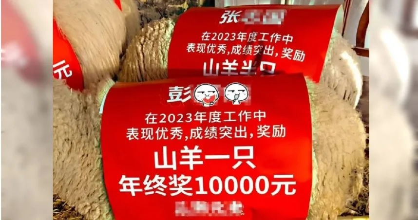 “生鲜红包”照震撼网 这公司发年终奖金再送羊