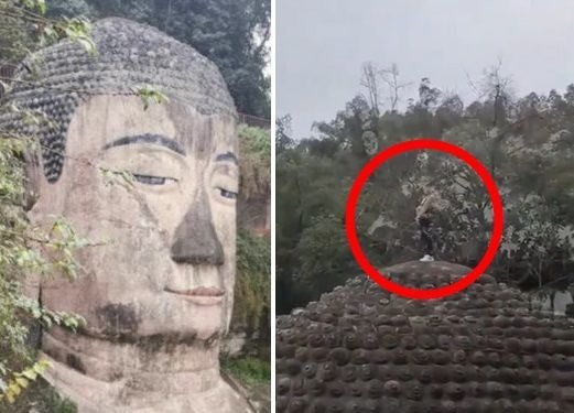 男子樂山大佛頭上撒尿 園區稱 “小失誤 ”