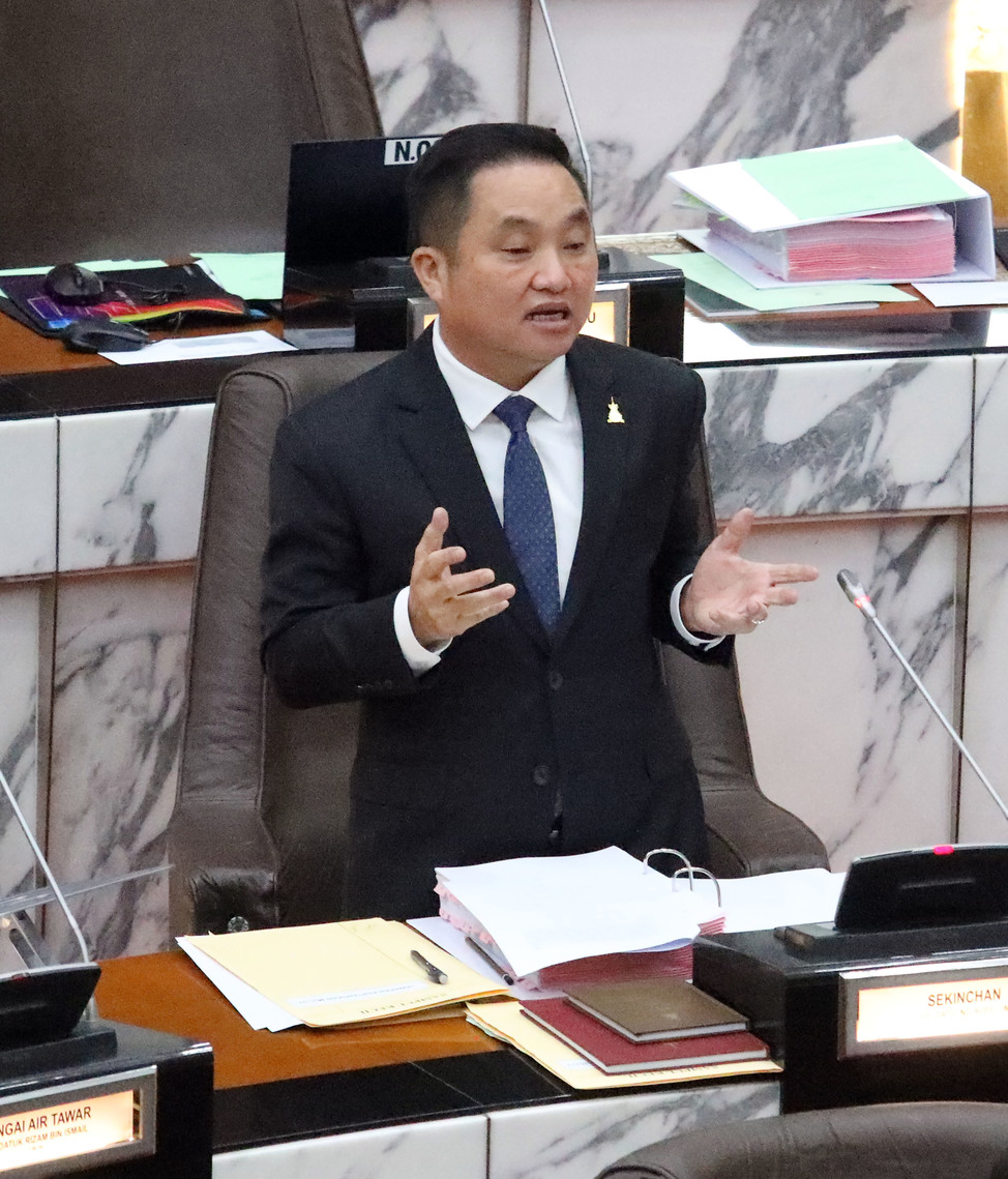 黄瑞林提议地方政府 捕获流浪动物不杀生