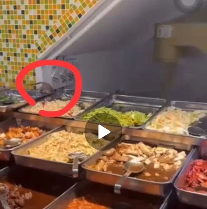 杂饭店出现老鼠 爬过菜品员工无感