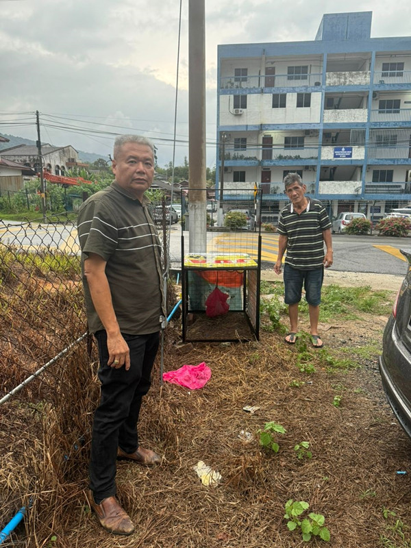 解决野狗袭人问题 淡边县会装猎狗笼