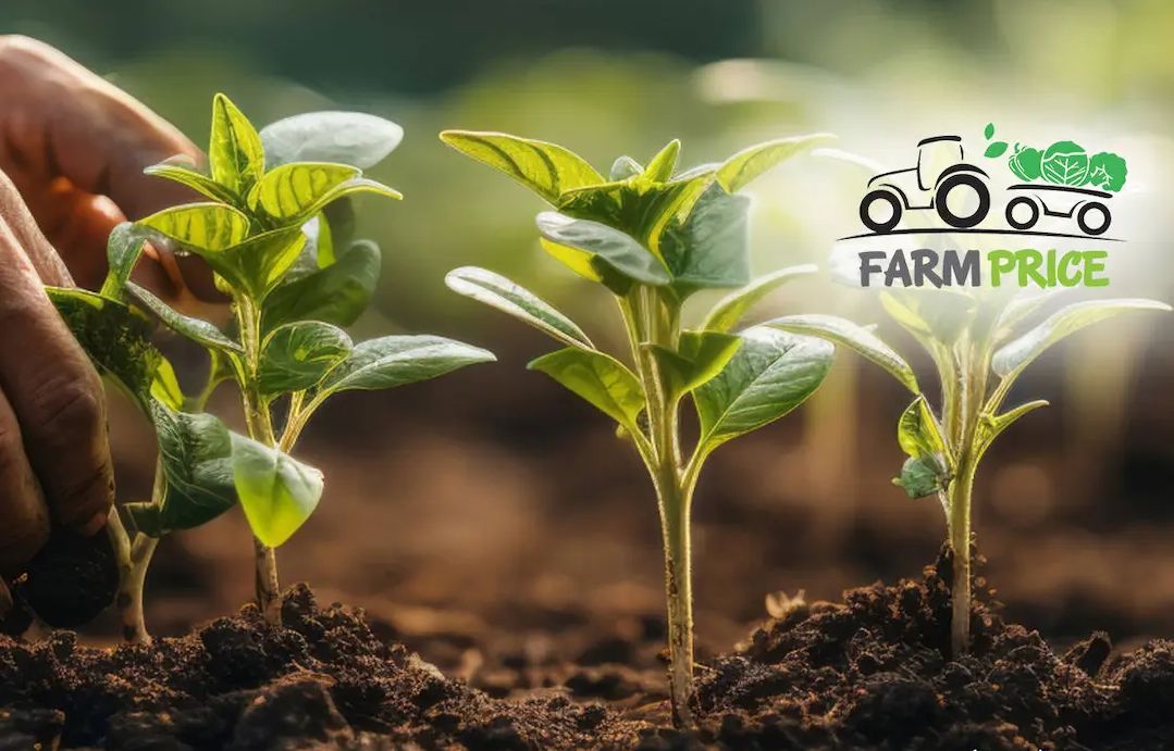 农价控股 Farm Price(农价控股官网)