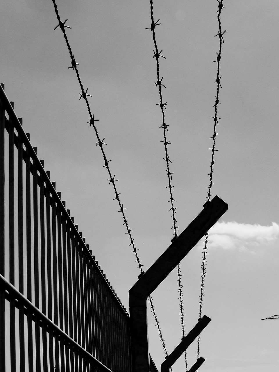 国际特赦组织促政府 允许民众获死刑数据