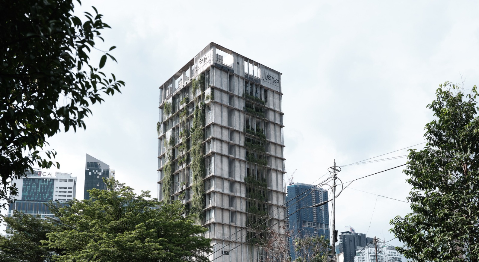 阳光下隐秘天地 绿植爬满外墙