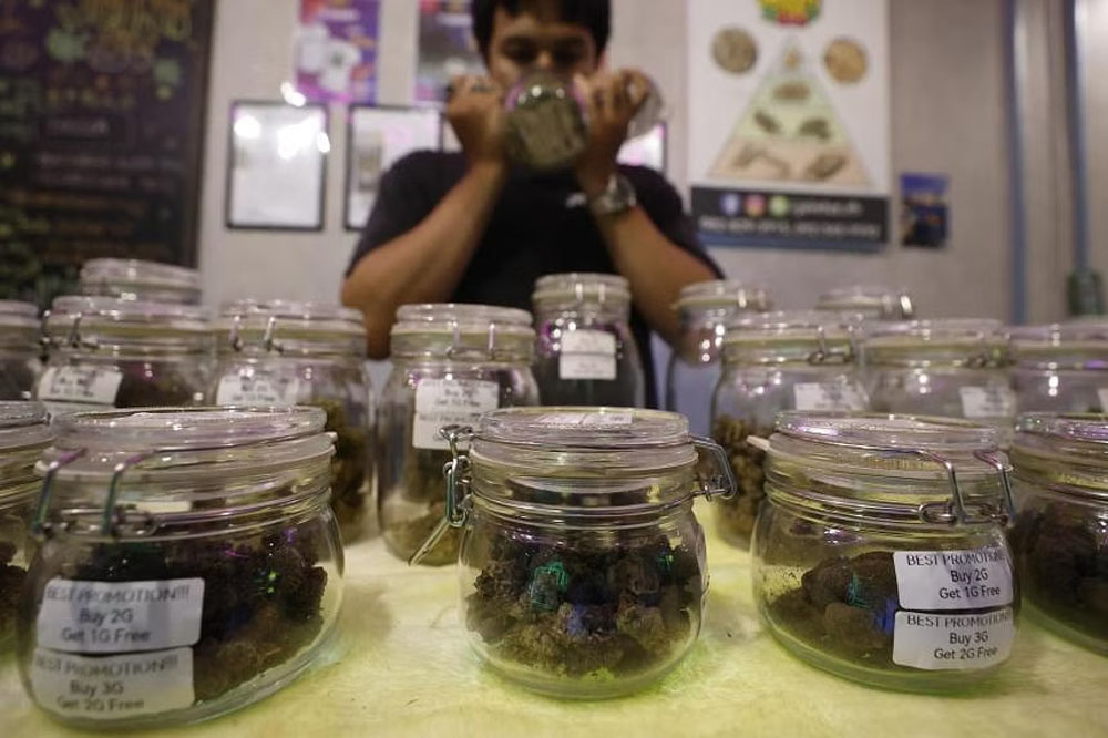 大麻政策逆转 泰国政府内讧