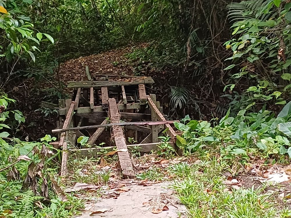 尼亚洞